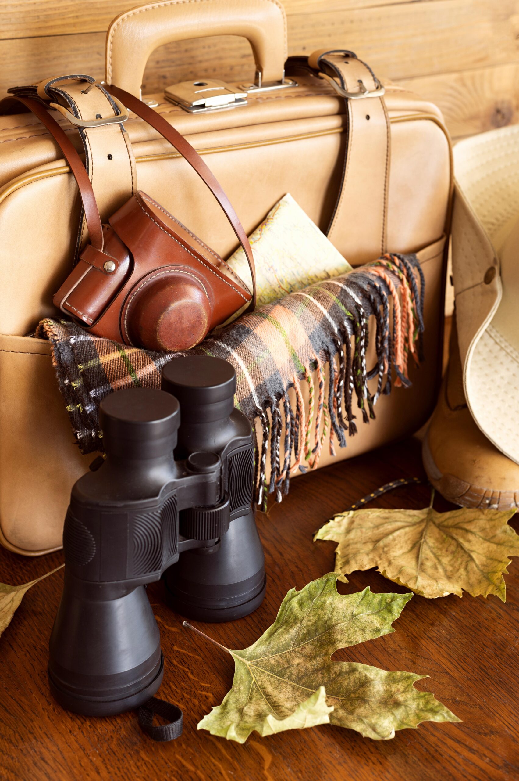 travel elements assortment luggage scaled